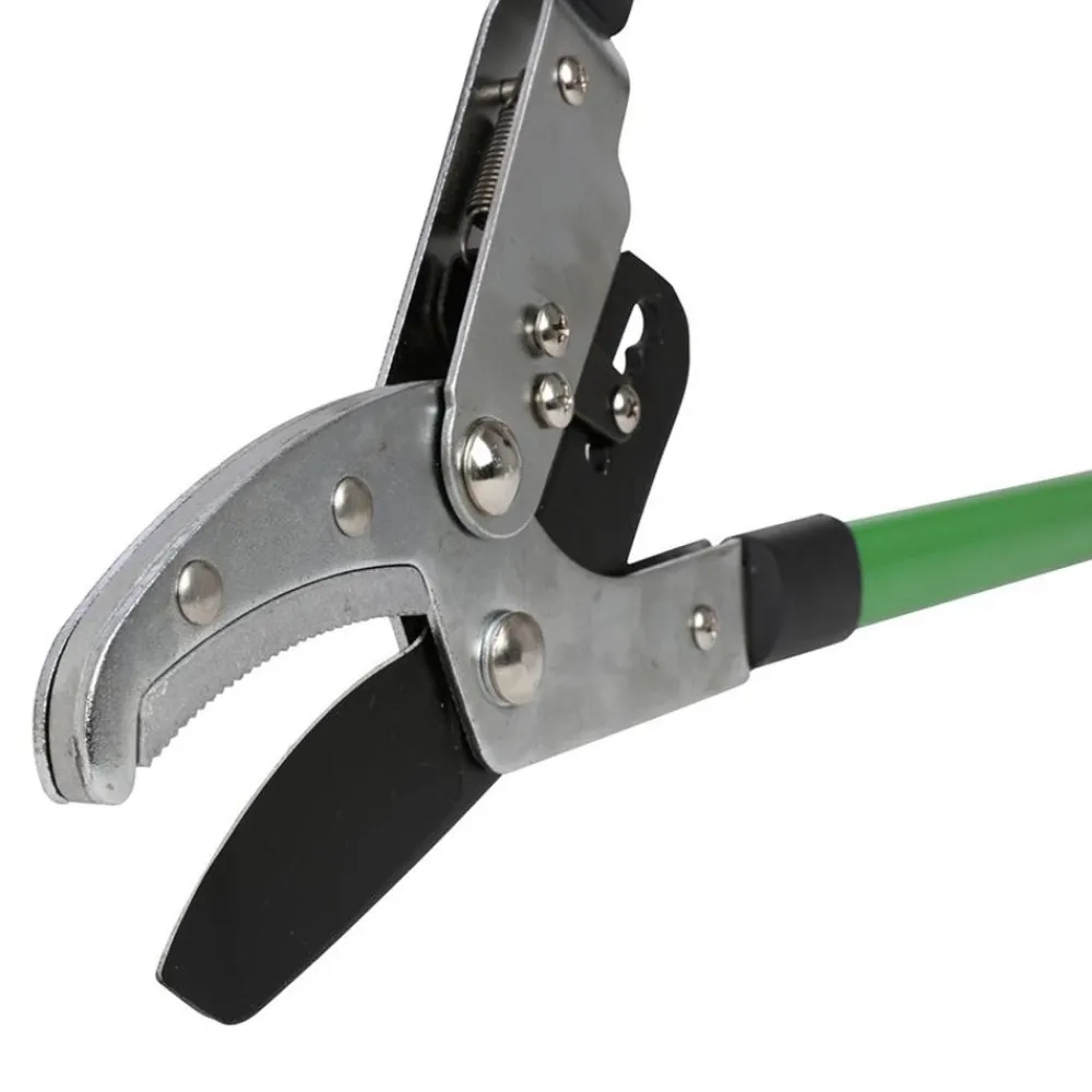 Grüner Jan Gartenwerkzeuge^Amboss-Teleskop-Astschere 93Cm