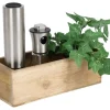 TP Aufbewahrungsboxen^Aufbewahrungsbox Aus Mangoholz 28X11X9,5Cm