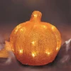 New Home Autumn Leuchtdeko^Herbstdeko Mit 24 Leds Warmweis Kurbis
