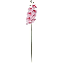 TP Kunstpflanzen Und Trockenblumen^Kunstliche Orchideenrispe Mit 8 Bluten 103Cm