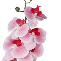 TP Kunstpflanzen Und Trockenblumen^Kunstliche Orchideenrispe Mit 8 Bluten 103Cm