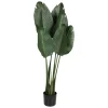 Flowers for You Kunstpflanzen Und Trockenblumen^Kunstliche Xxl Strelitzie Im Topf 125Cm