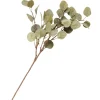 TP Kunstpflanzen Und Trockenblumen^Kunstlicher Eukalyptus 66Cm