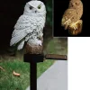 TP Leuchtdeko^Led Solar-Gartenfigur Eule
