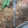 TP Lampen Und Leuchten^Led-Solarlicht Gartenstecker 5,5X49,5Cm Kaltweis