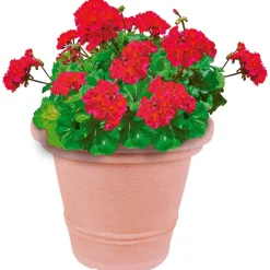 Jelenia Plast Pflanzkübel^Pflanztopf Siena 34X28Cm Terrakotta
