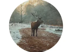 Seasons & Style Sonstige Innendeko^Rundes Wandbild Aus Mdf 58Cm Hirsch Im Wald