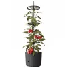 Plastkon Rankhilfen^Tomatenpflanztopf Mit Rankhilfe 29Cm Anthrazit
