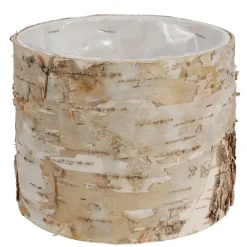 TP Pflanzkübel^Ubertopf Birkenstamm 11X9Cm