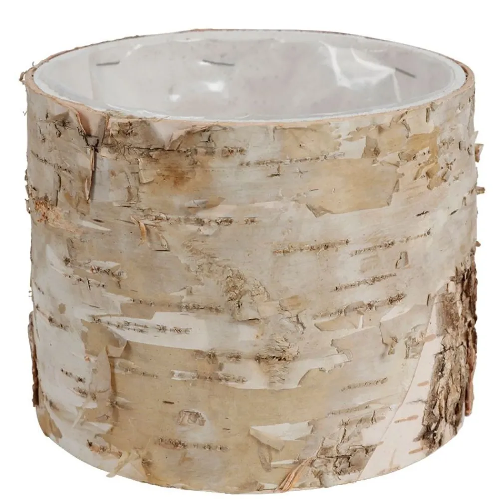 TP Pflanzkübel^Ubertopf Birkenstamm 11X9Cm