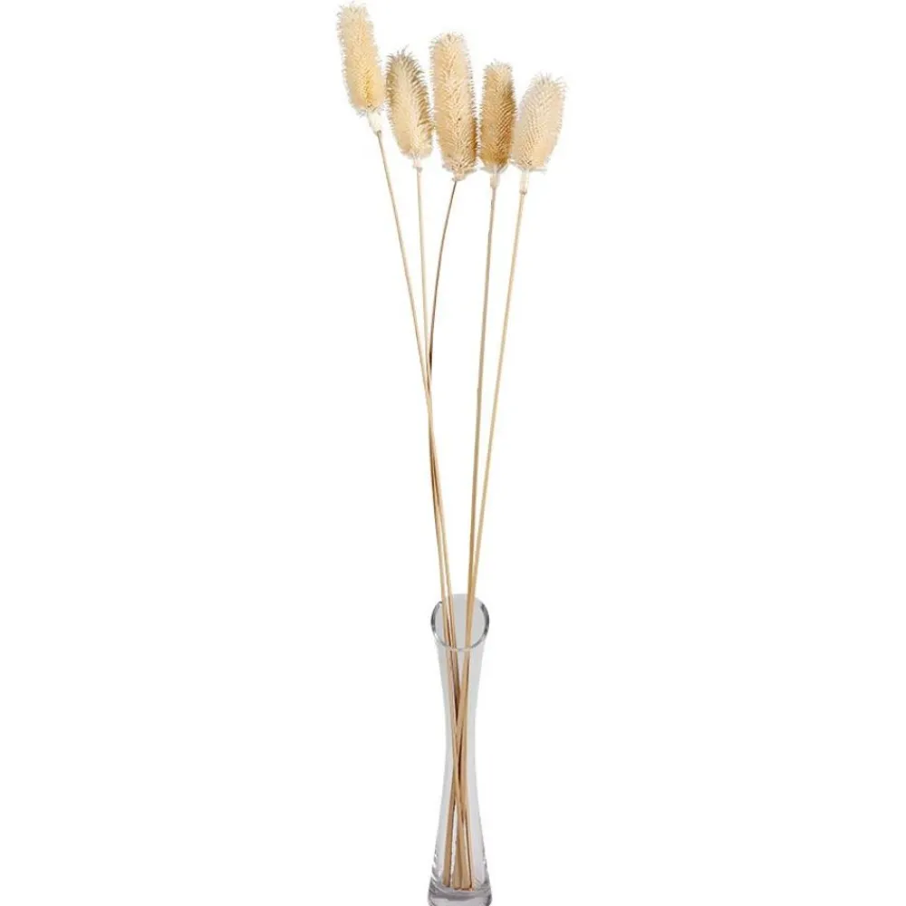 TP Kunstpflanzen Und Trockenblumen^Weise Distel Getrocknet 70Cm 5-Teilig
