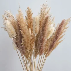 TP Kunstpflanzen Und Trockenblumen^Weise Distel Getrocknet 70Cm 5-Teilig