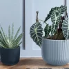Prosperplast Pflanzkübel^Xxl Blumentopf Milly Bauchig Rillendesign Mit Einsatz 47Cm Steingrau