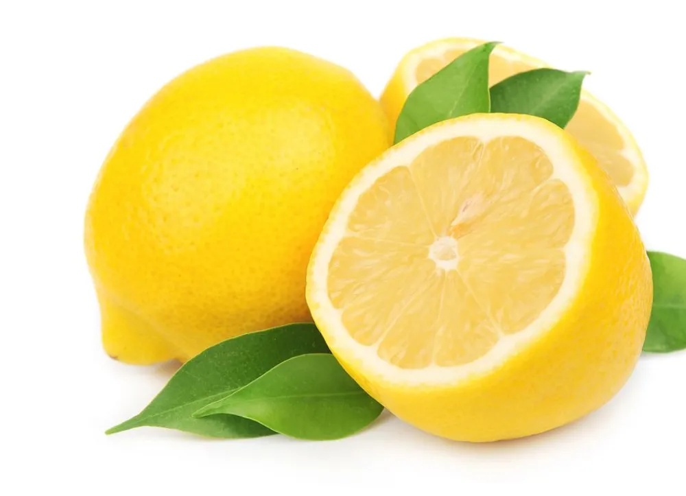 Hortiflora Pflanzenversand^Zitronenbaum Citrus Limon 140-160Cm